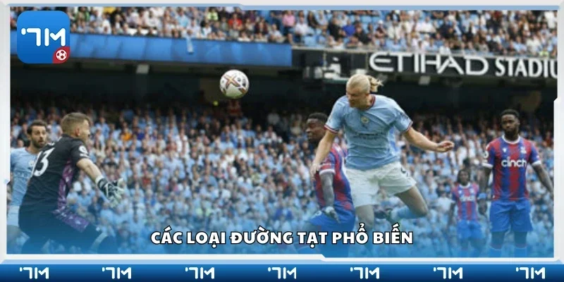 Một số loại đường tạt phổ biến