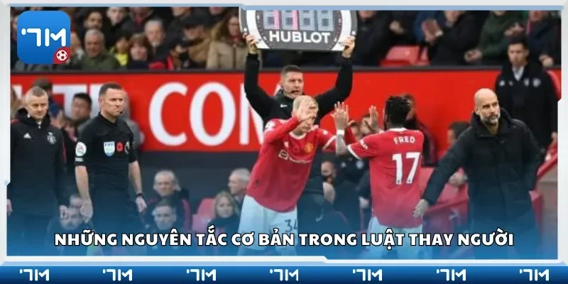 Những nguyên tắc cơ bản trong luật thay người