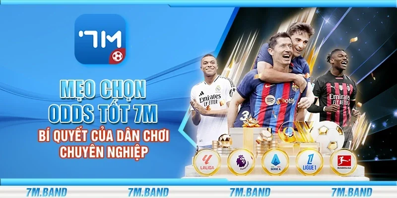 Mẹo chọn odds tốt 7m – Bí quyết của dân chơi chuyên nghiệp