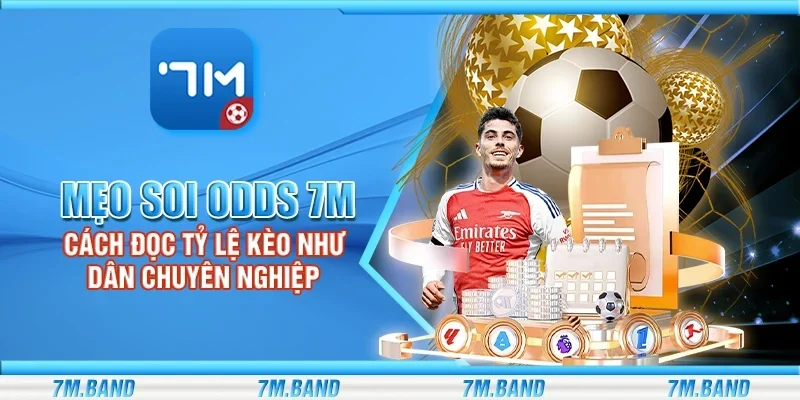 Mẹo soi odds 7m – Cách đọc tỷ lệ kèo như dân chuyên nghiệp