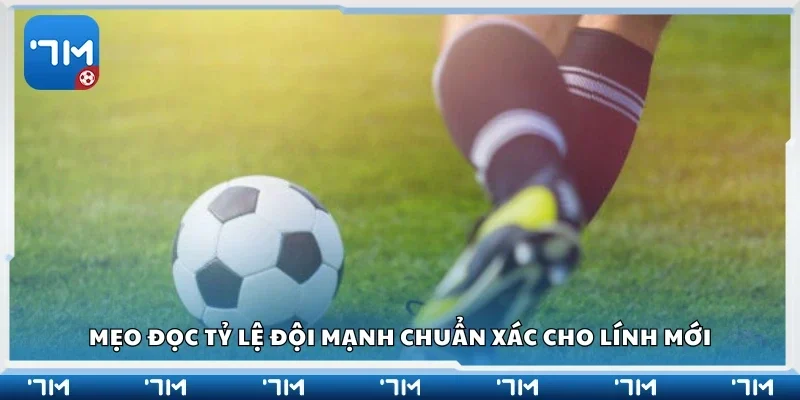 Các mẹo đọc tỷ lệ đội mạnh chuẩn xác cho lính mới