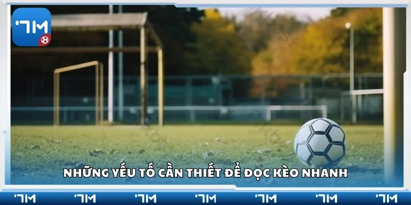 Các yếu tố cần thiết để đọc kèo nhanh