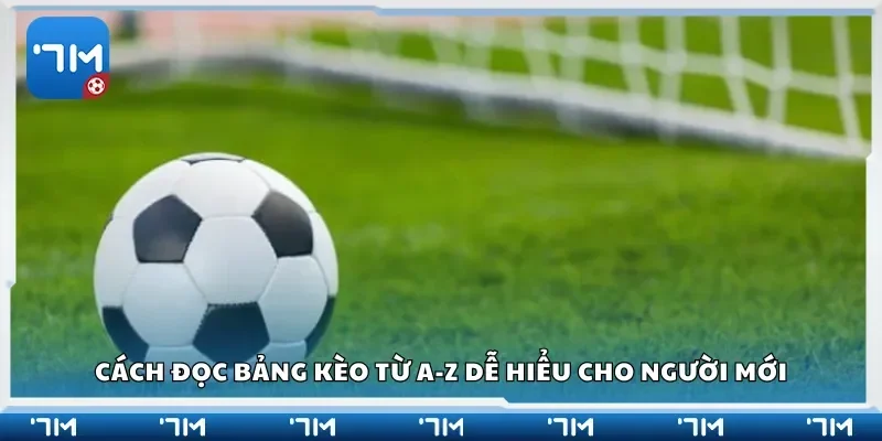 Cách đọc bảng kèo từ A-Z dễ hiểu cho người mới