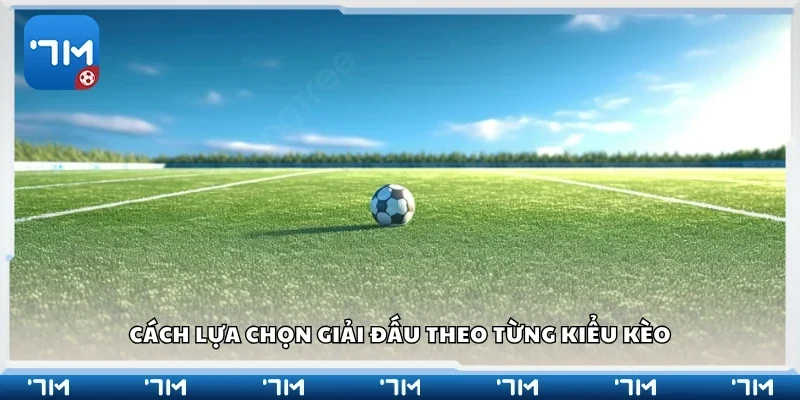 Cách lựa chọn giải đấu theo từng kiểu kèo