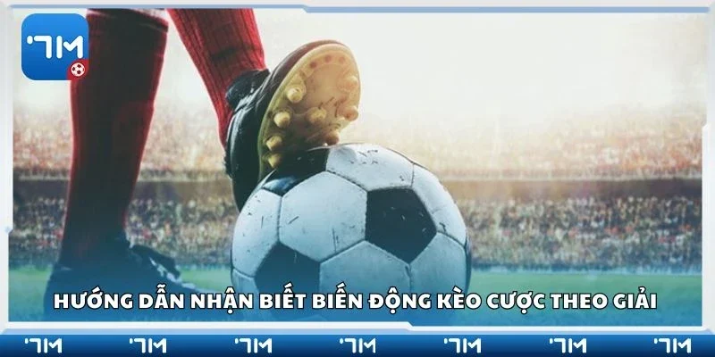 Hướng dẫn nhận biết biến động kèo cược theo giải 