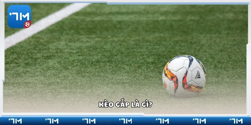 Kèo gấp là gì?