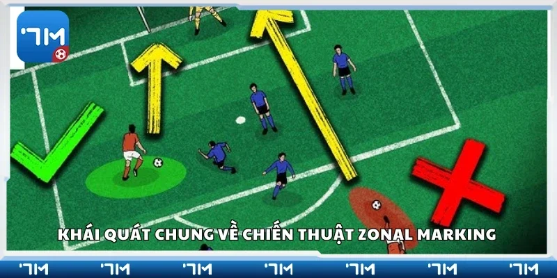 Khái quát chung về chiến thuật zonal marking 