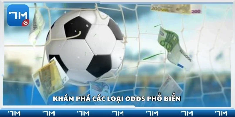 Khám phá các loại odds phổ biến 