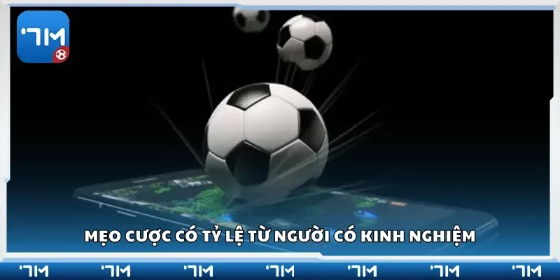 Mẹo cược có tỷ lệ từ người có kinh nghiệm