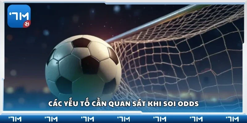 Một số yếu tố cần quan sát khi soi odds