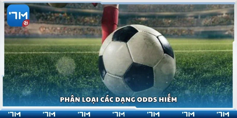 Phân loại các dạng odds hiếm