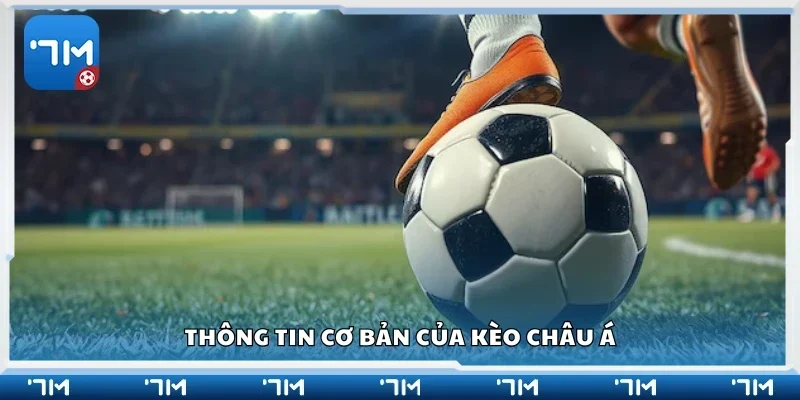 Thông tin cơ bản của kèo châu Á