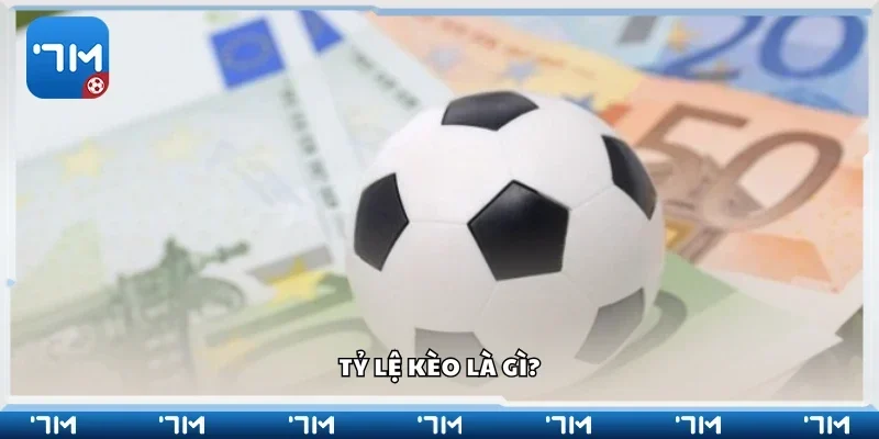 Tìm hiểu sơ lược về tỷ lệ kèo 