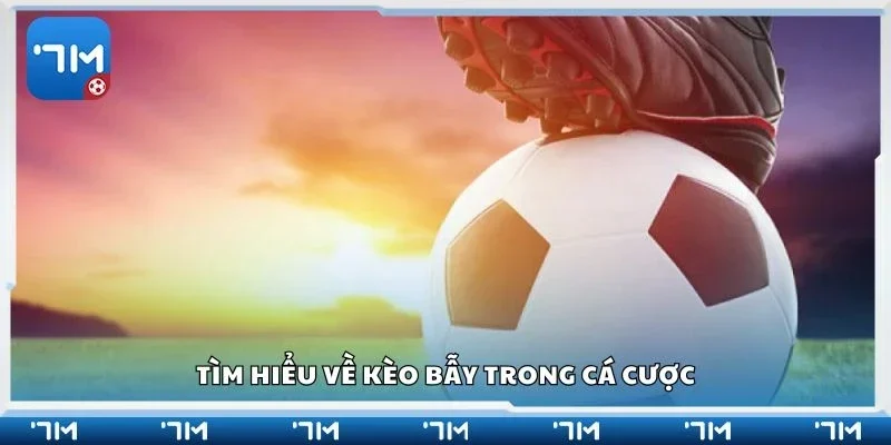 Tìm hiểu về kèo bẫy trong cá cược