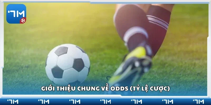 Tìm hiểu về odds (tỷ lệ cược) 
