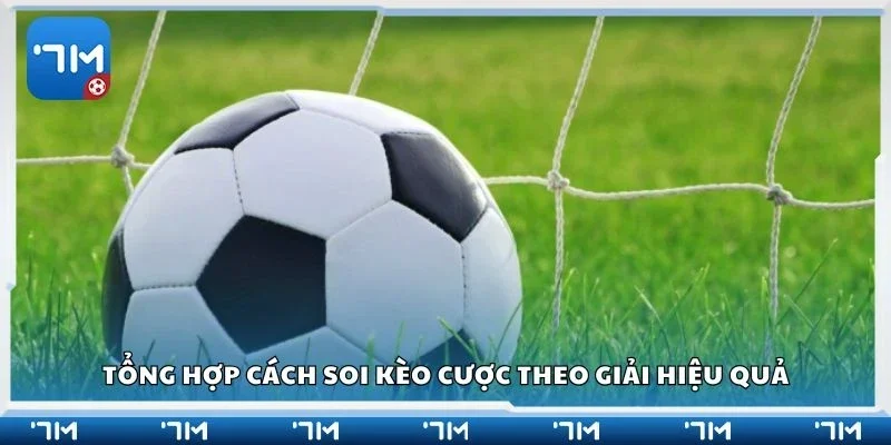 Tổng hợp cách soi kèo cược theo giải hiệu quả