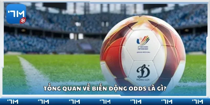 Tổng quan về biến động odds là gì?