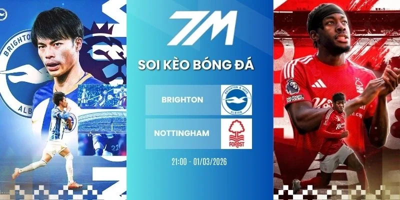soi kèo bóng đá Brighton vs Nottingham hôm nay ngày 01/03/2026 - NHA