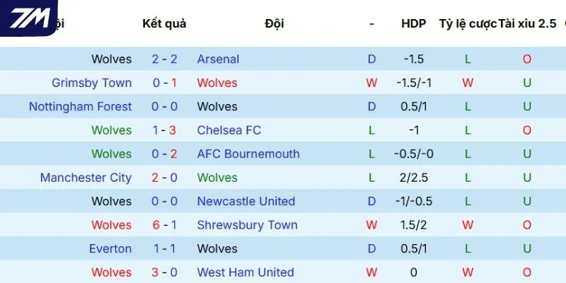 Thành tích của Wolves trên mọi đấu trường