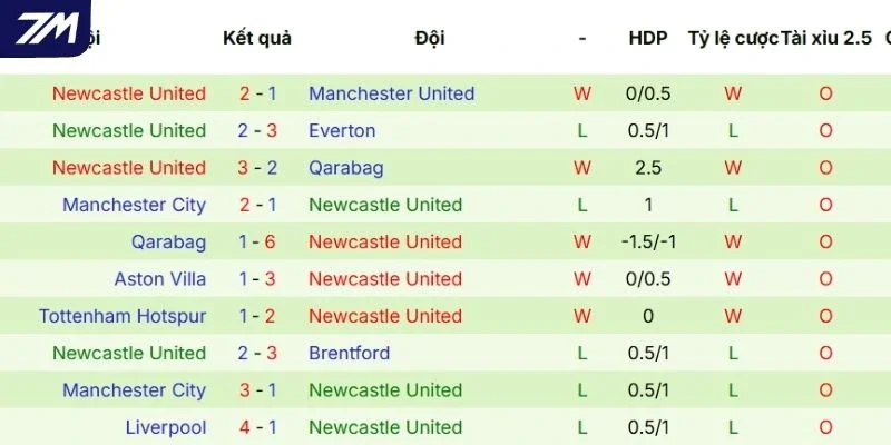 Dấu ấn thi đấu của Newcastle gần đây