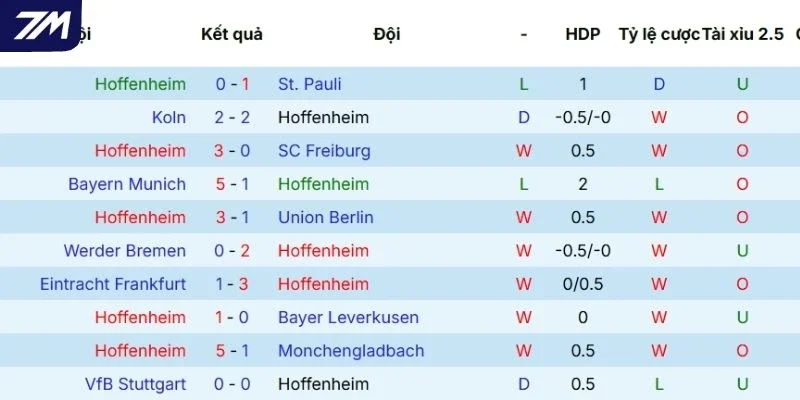 Hiệu suất thi đấu tuyển Hoffenheim