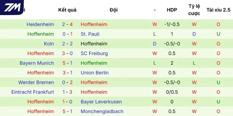 Kết quả ra sân gần đây của Hoffenheim