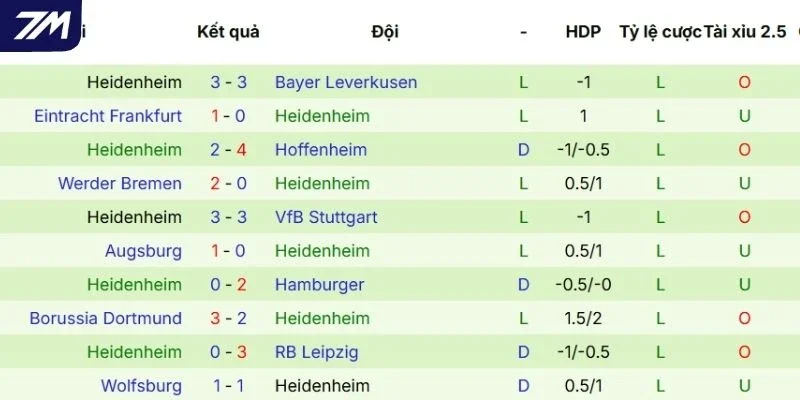 Màn thể hiện qua các lần ra sân của Heidenheim