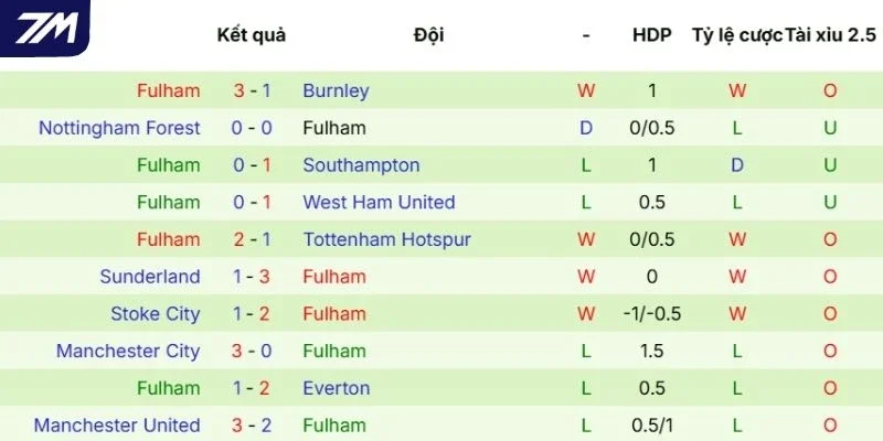 Màn trình diễn vừa qua của Fulham