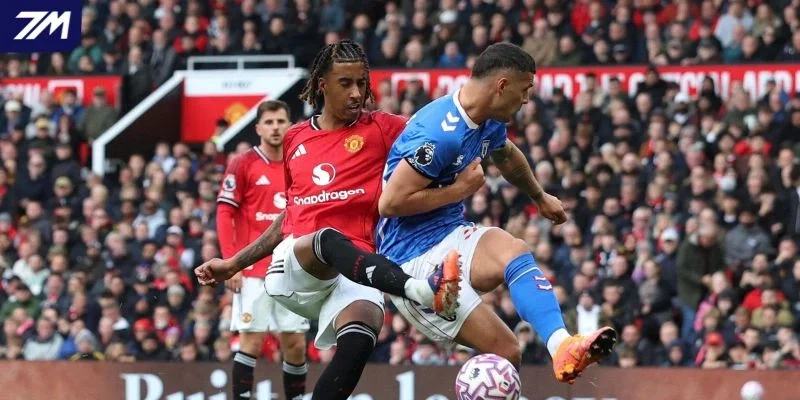 Dự đoán kèo Brighton vs Manchester United