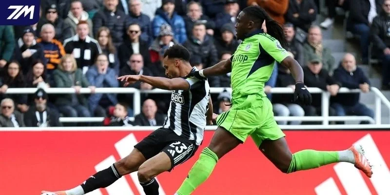 Nhận định Fulham vs Newcastle United trước trận