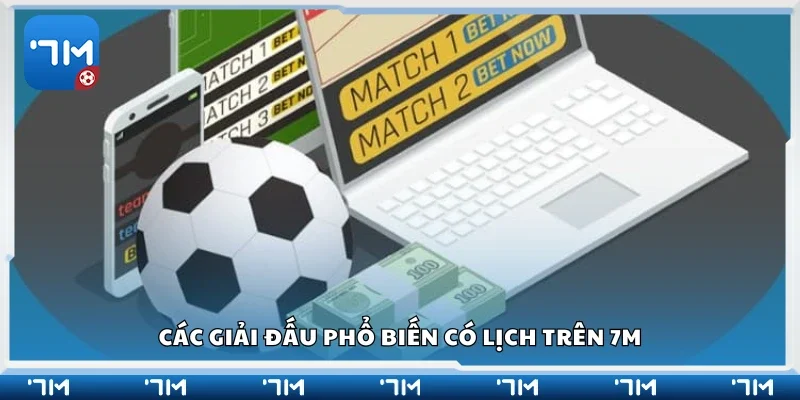 Các giải đấu phổ biến có lịch trên 7m