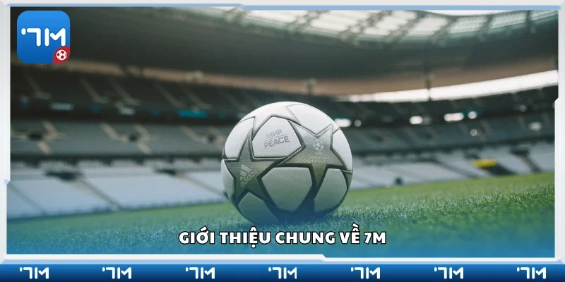 Giới thiệu chung về 7m