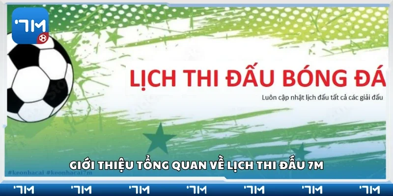 tổng quan về lịch thi đấu